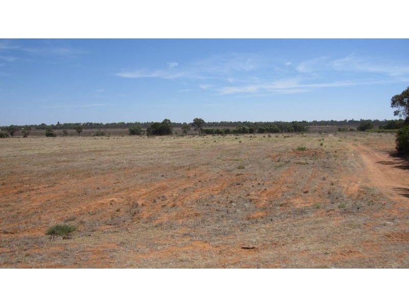 139 Cureton Avenue, Nichols Point VIC 3501