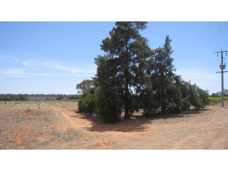 139 Cureton Avenue, Nichols Point VIC 3501