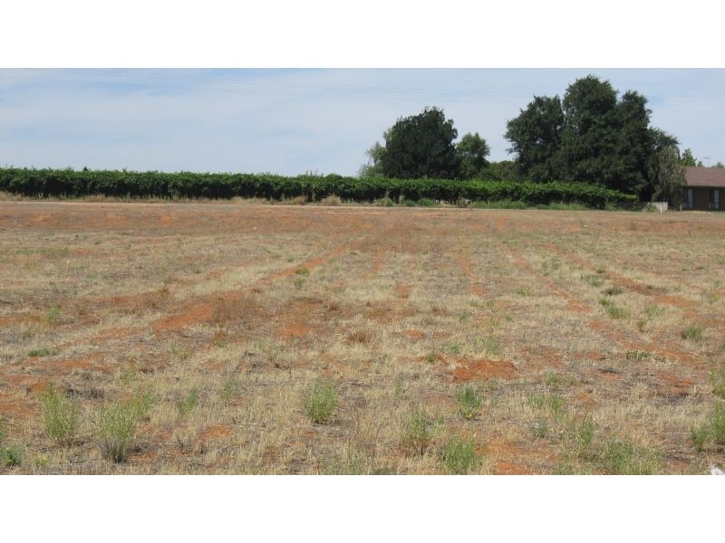 139 Cureton Avenue, Nichols Point VIC 3501