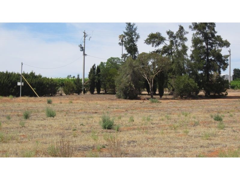 139 Cureton Avenue, Nichols Point VIC 3501