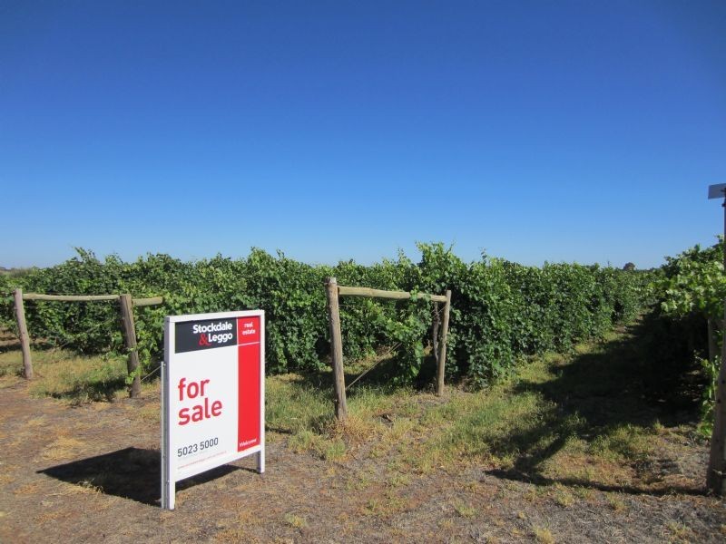 Block 520 Westcliffs Avenue, Cardross VIC 3496