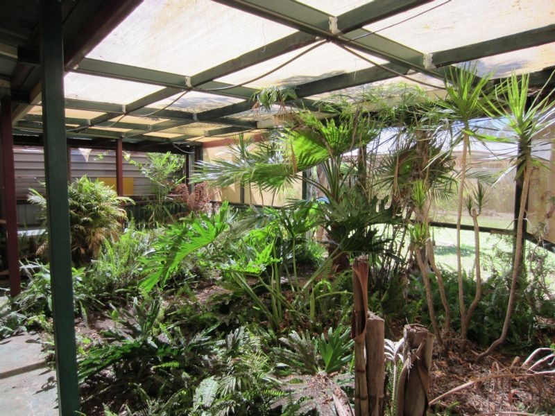 12 Valencia Avenue, Mildura VIC 3500