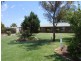 310 Damascus Road, Robinvale VIC 3549