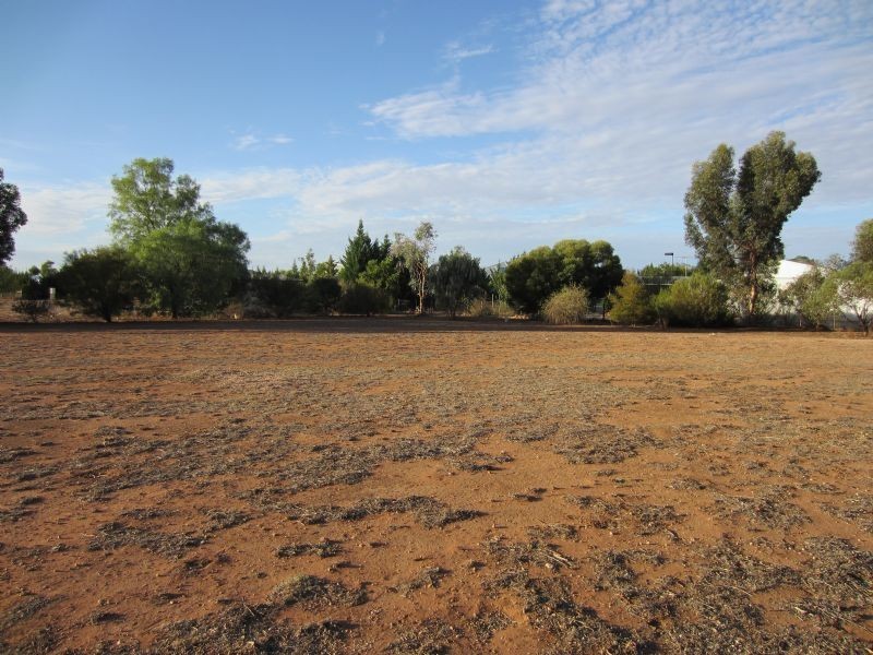 Lot 38 The Cobb & Co Way, Gol Gol NSW 2738