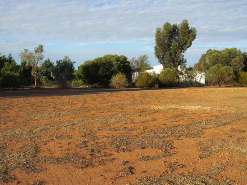 Lot 38 The Cobb & Co Way, Gol Gol NSW 2738