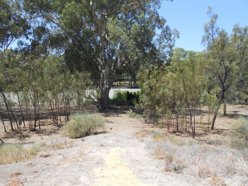 2/153 Darling Street, Wentworth NSW 2648