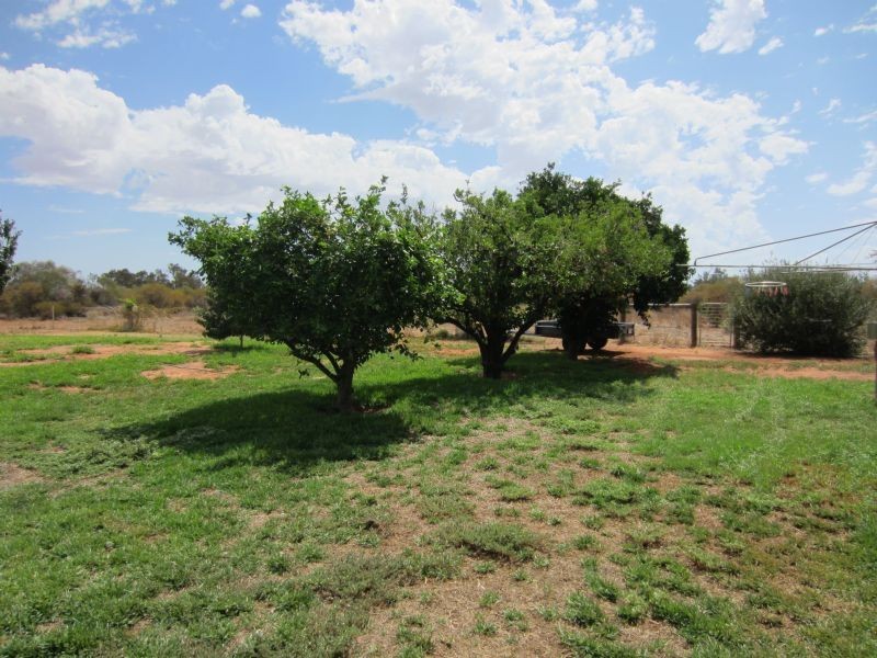 37 Walters Drive, Merbein VIC 3505