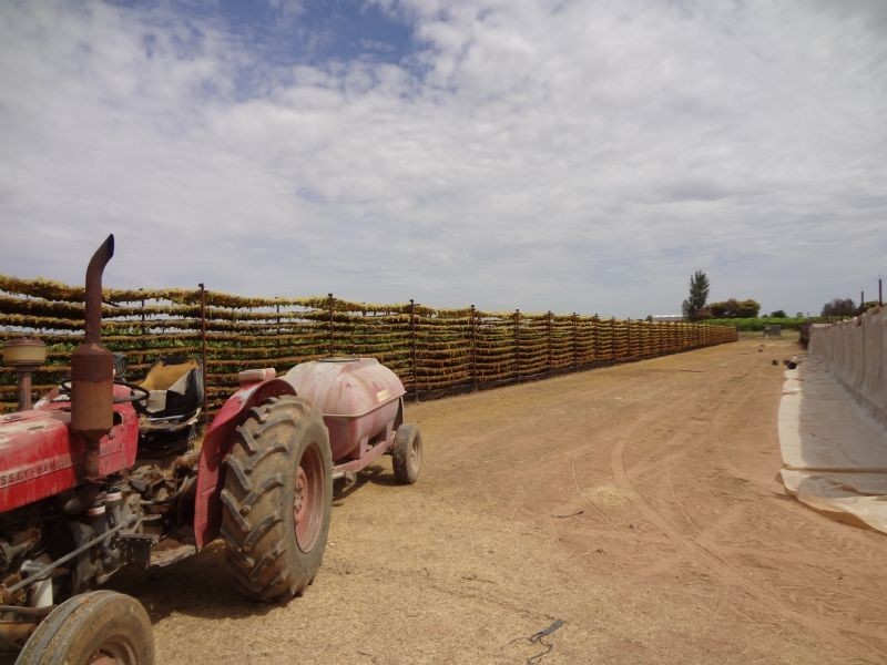 Cnr Twentieth St & San Mateo Ave, Mildura VIC 3500