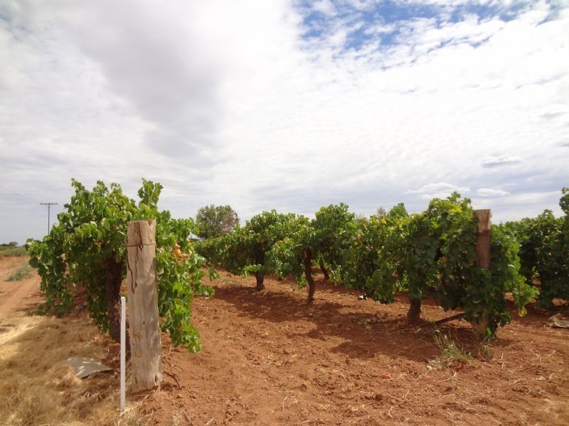 Cnr Twentieth St & San Mateo Ave, Mildura VIC 3500