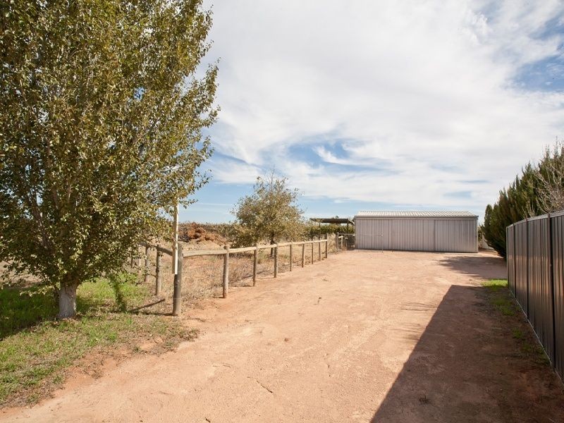 226 Irymple Avenue, Nichols Point VIC 3501