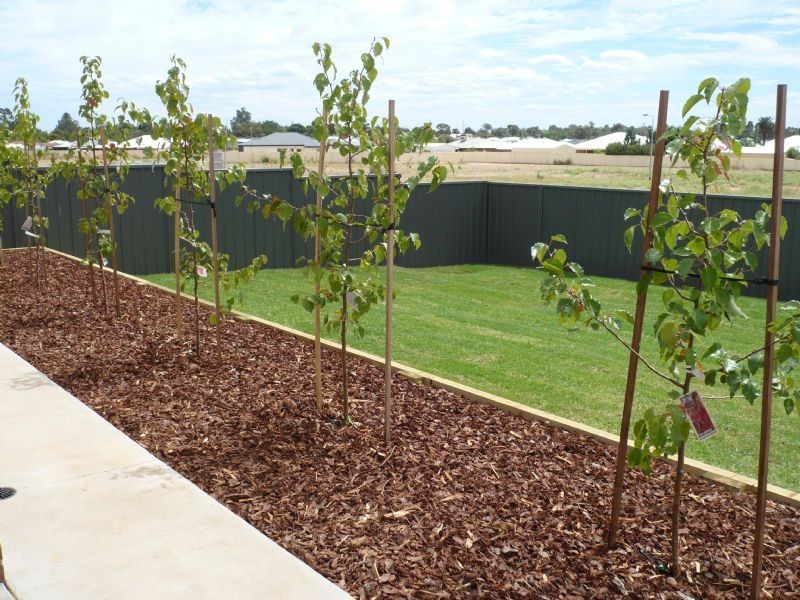 3 Ella Mae Court, Red Cliffs VIC 3496