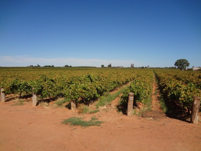 52a Cowanna Avenue, Merbein VIC 3505