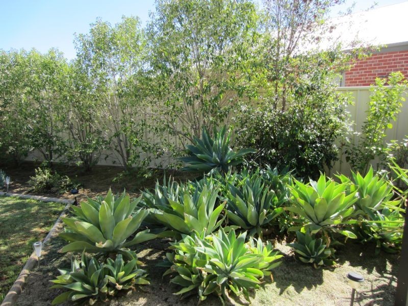 5 Orlando Court, Mildura VIC 3500