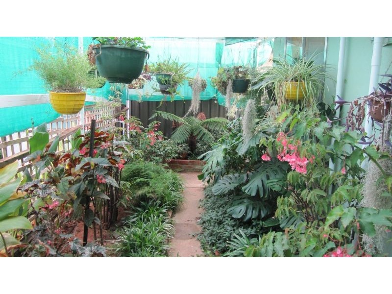 5 River Grove, Robinvale VIC 3549