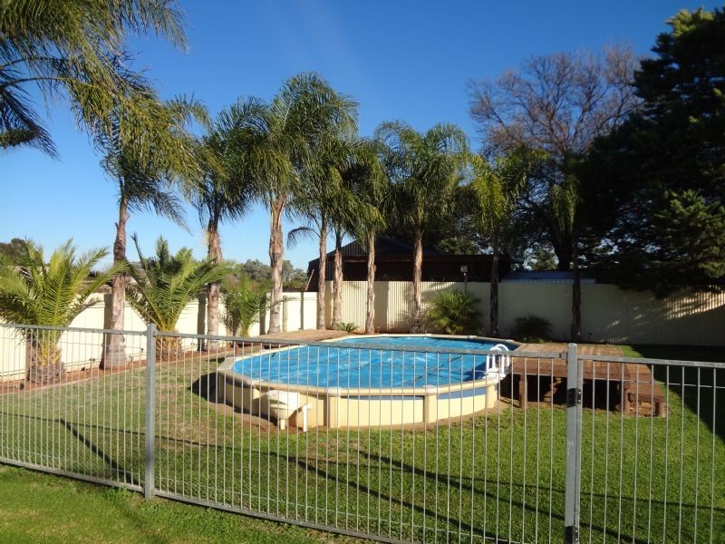48 School Road, Dareton NSW 2717