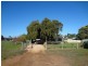 48 School Road, Dareton NSW 2717
