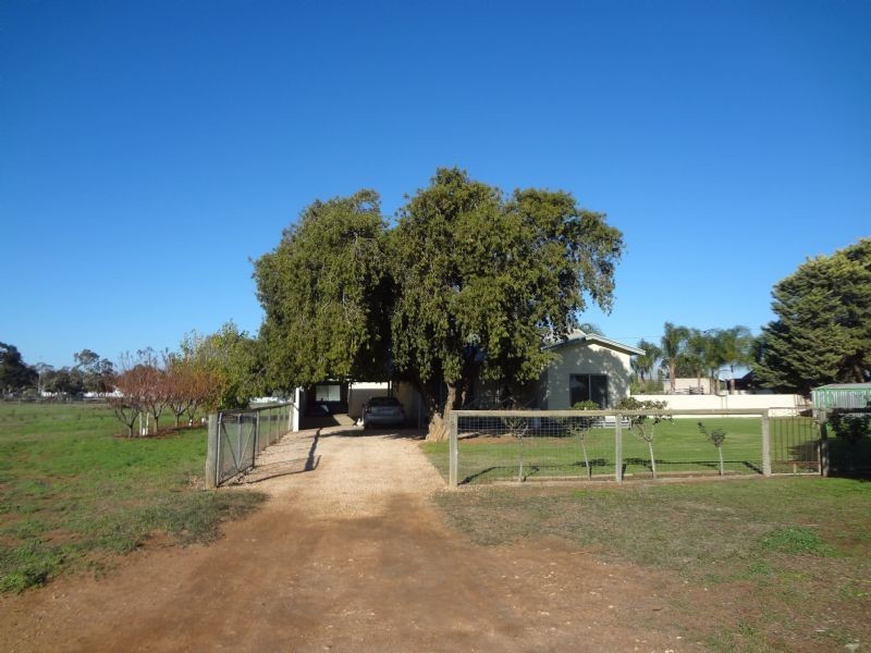 48 School Road, Dareton NSW 2717