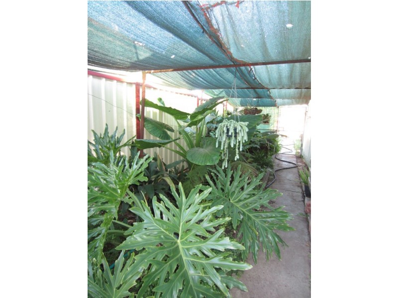 15 Game Street, Merbein VIC 3505