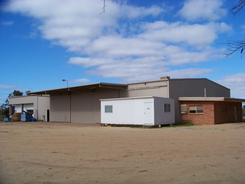 241 Ginquam Avenue, Irymple VIC 3498