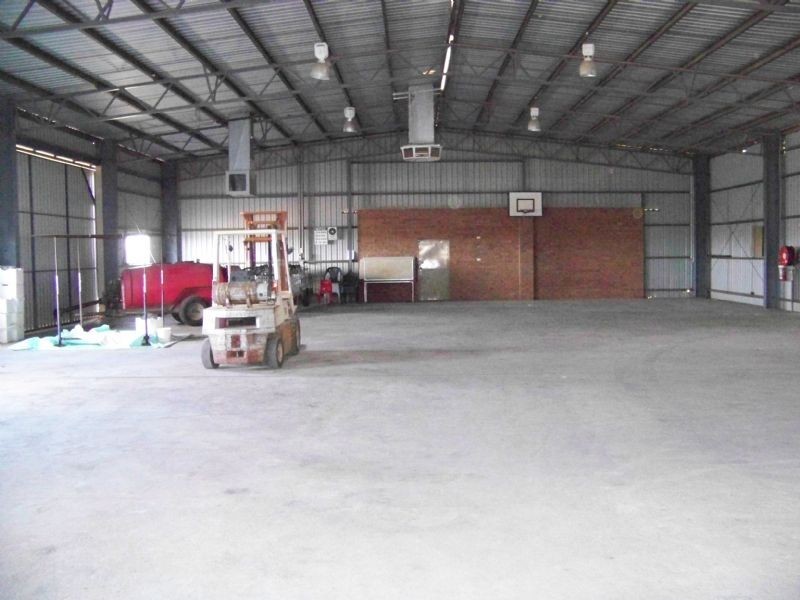 241 Ginquam Avenue, Irymple VIC 3498