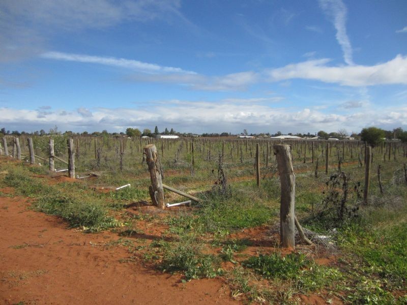 289 Dairtnunk Avenue, Cardross VIC 3496