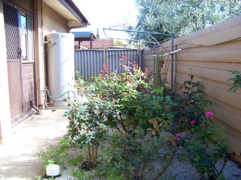 25 Hibiscus Drive, Mildura VIC 3500