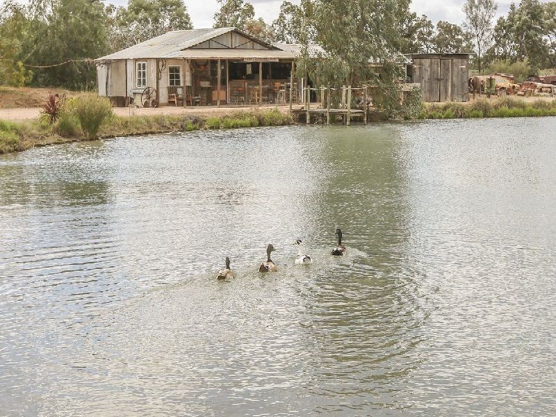 28 Benetook Avenue, Mildura VIC 3500