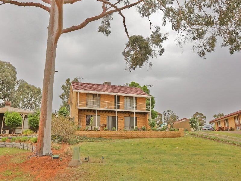 33 Riverview Drive, Dareton NSW 2717