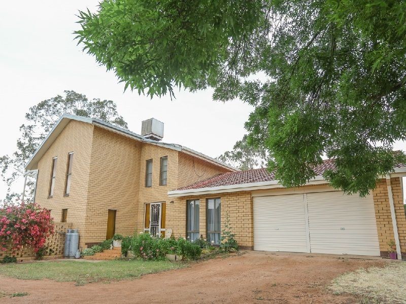 33 Riverview Drive, Dareton NSW 2717