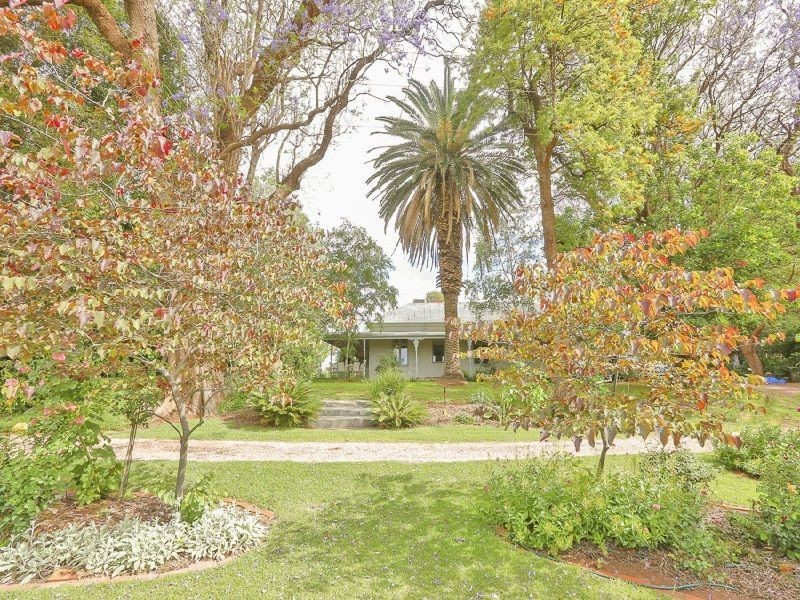 65 Yelta Road, Merbein VIC 3505