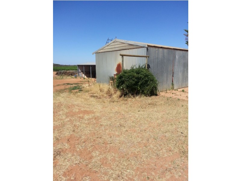 58 Bombala Road, Dareton NSW 2717