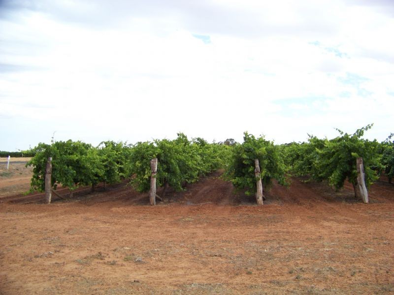 138 Honour Avenue Merbein West via, Mildura VIC 3500