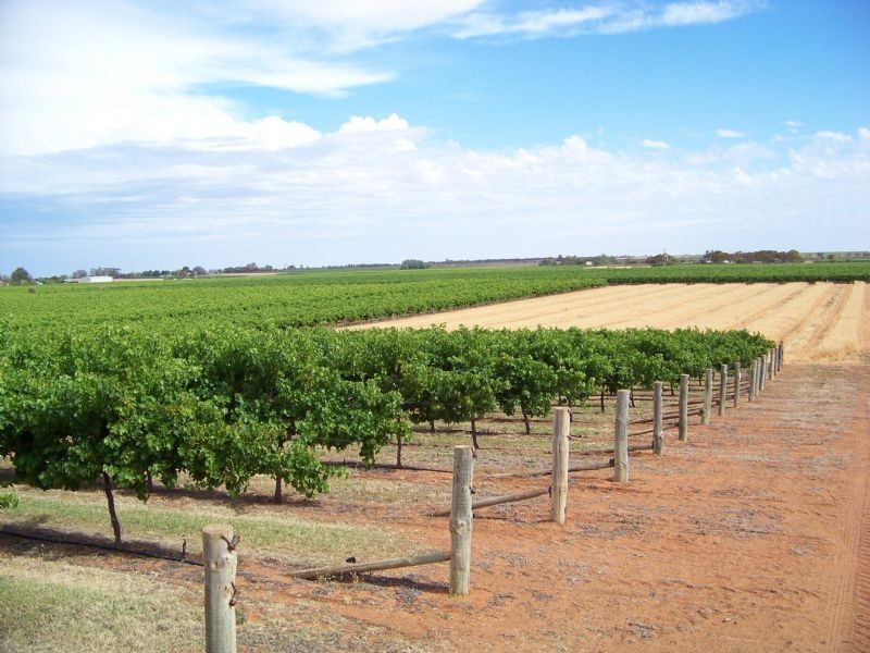 138 Honour Avenue Merbein West via, Mildura VIC 3500