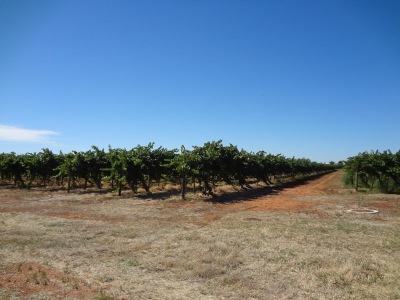 Block 338 Westcliffs Avenue, Red Cliffs VIC 3496
