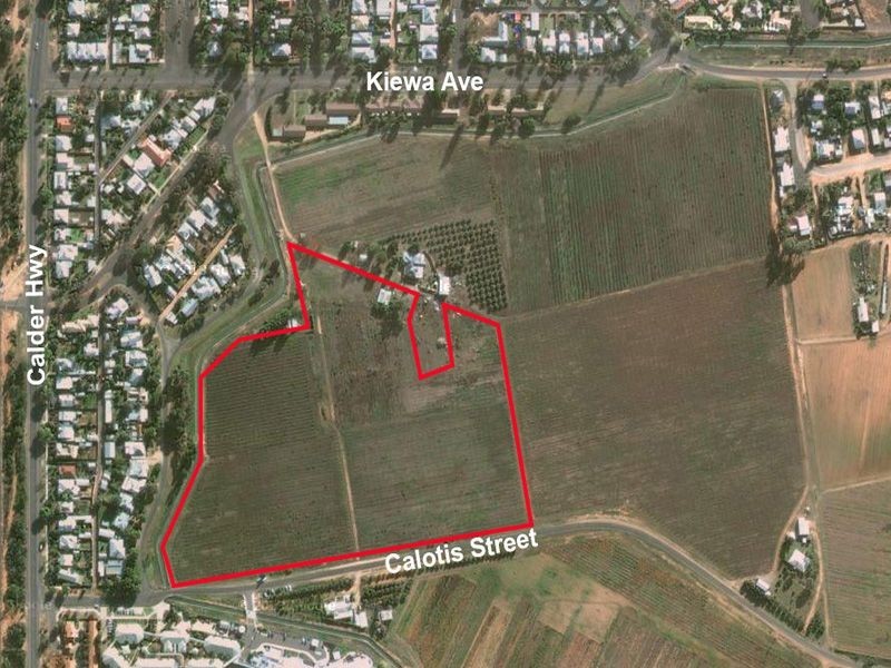 Lot 223 Calotis Street, Red Cliffs VIC 3496