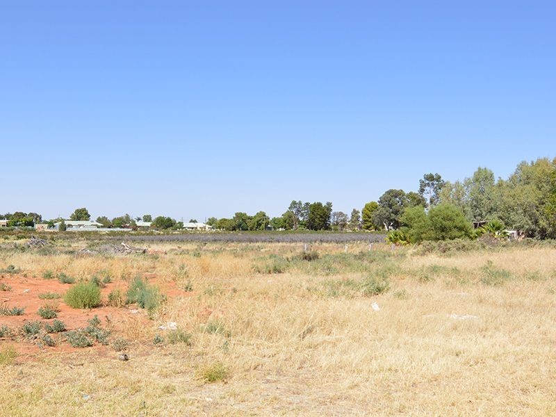 Lot 223 Calotis Street, Red Cliffs VIC 3496