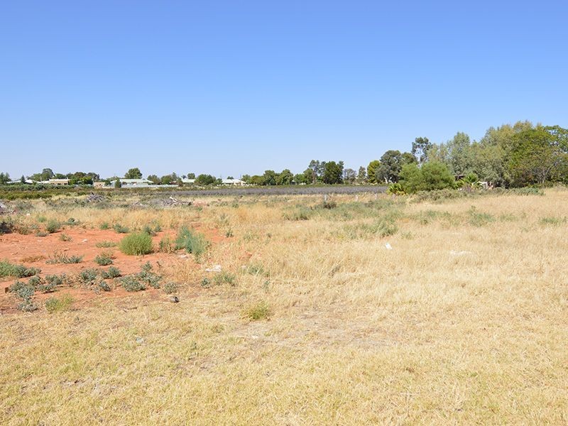 Lot 223 Calotis Street, Red Cliffs VIC 3496