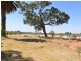 226 Calotis Street, Red Cliffs VIC 3496