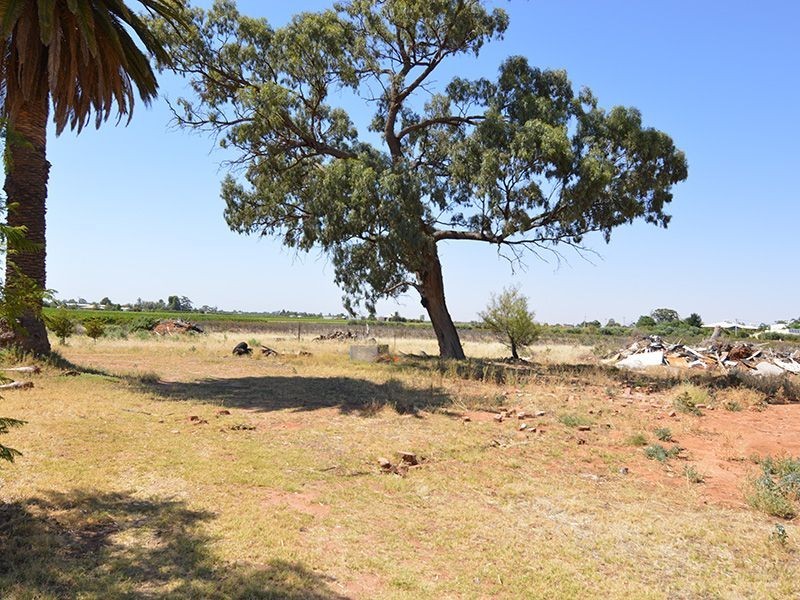 226 Calotis Street, Red Cliffs VIC 3496