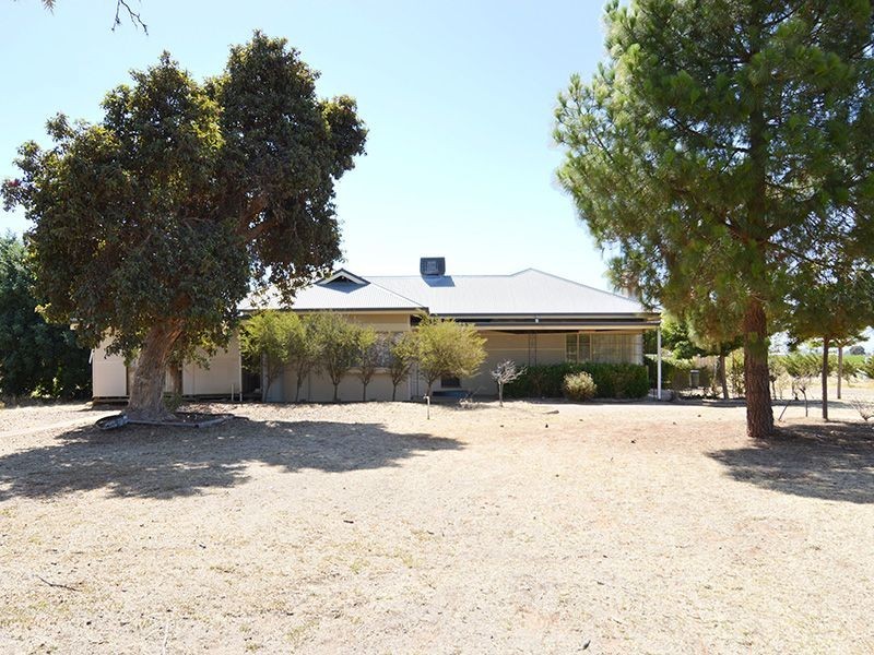 226 Calotis Street, Red Cliffs VIC 3496
