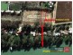 18 Carramar Drive, Gol Gol NSW 2738