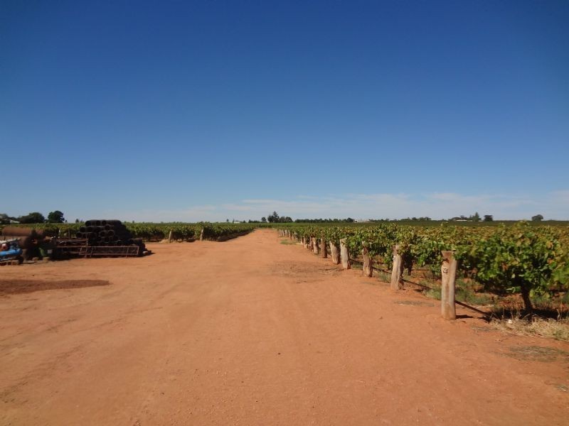 404 Cowanna Avenue, Merbein VIC 3505