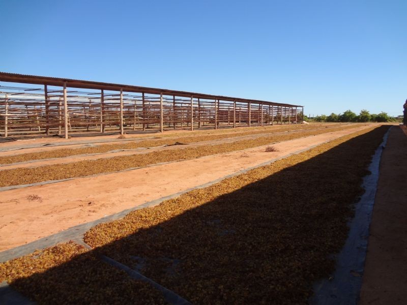 404 Cowanna Avenue, Merbein VIC 3505