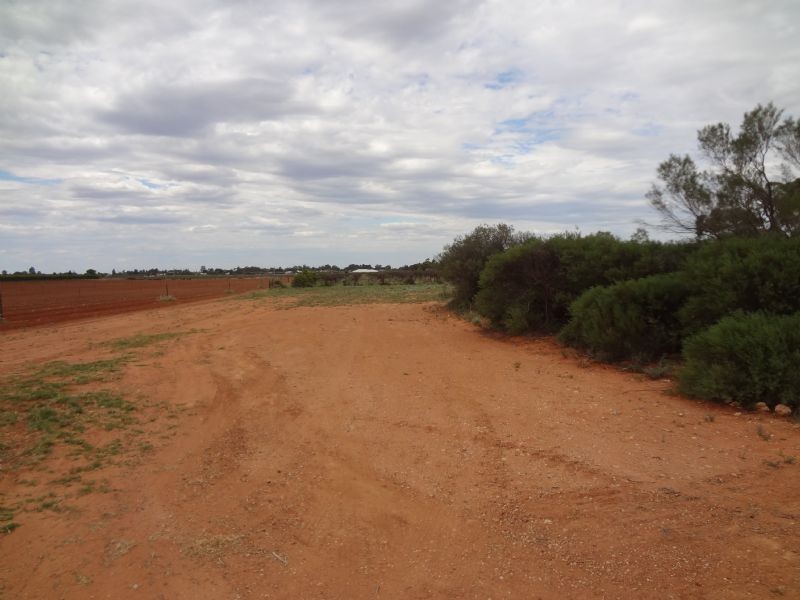 35 Carwarp Avenue, Irymple VIC 3498