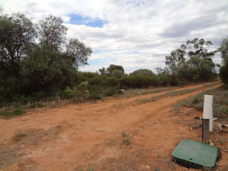 35 Carwarp Avenue, Irymple VIC 3498