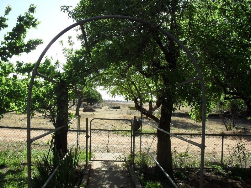 Lot 3, 99 Birkins Road, Carwarp VIC 3494