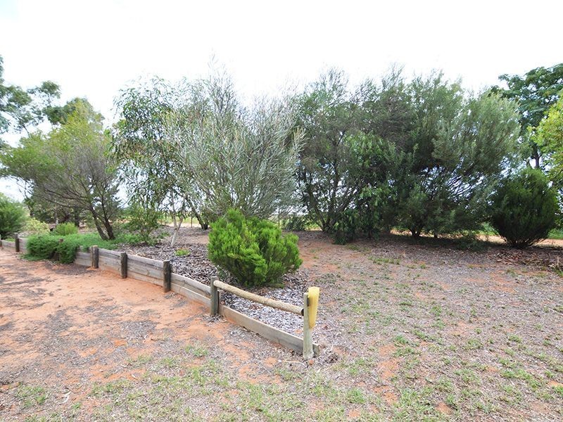 356 Dairtnunk Avenue, Cardross VIC 3496