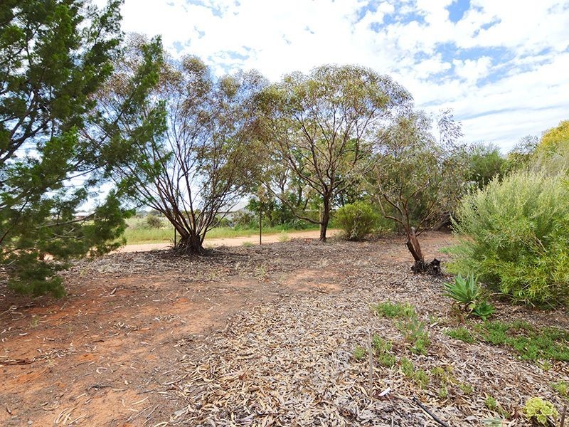 356 Dairtnunk Avenue, Cardross VIC 3496