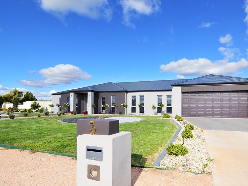 3 Ysonde Avenue, Irymple VIC 3498