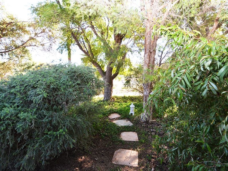 12 Laurel Street, Red Cliffs VIC 3496